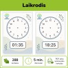 Laikrodis (Nr. P170)