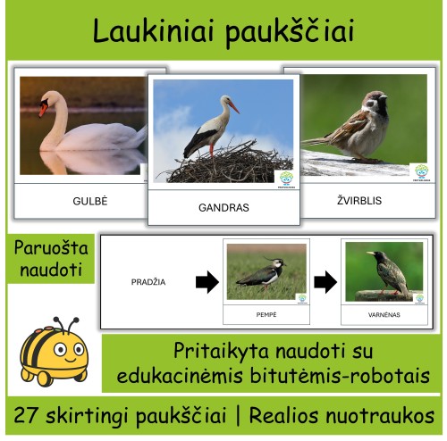 Laukiniai paukščiai | Tinka Bee-bot robotukams (Nr. P150)