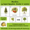 Medžiai | Tinka Bee-bot robotukams (Nr. P163)