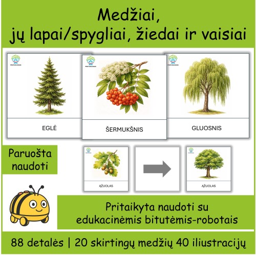 Medžiai | Tinka Bee-bot robotukams (Nr. P163)