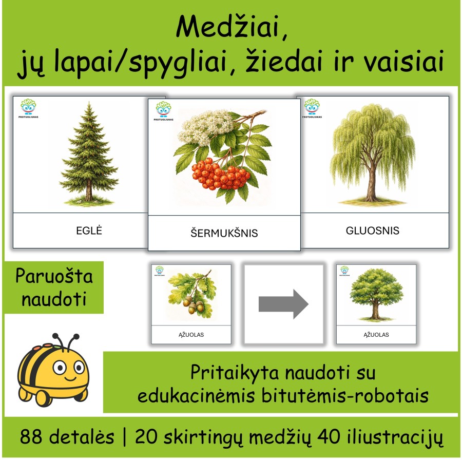 Medžiai | Tinka Bee-bot robotukams (Nr. P163)