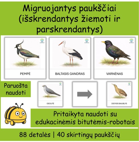 Migruojantys paukščiai | Tinka Bee-bot robotukams (Nr. P154)