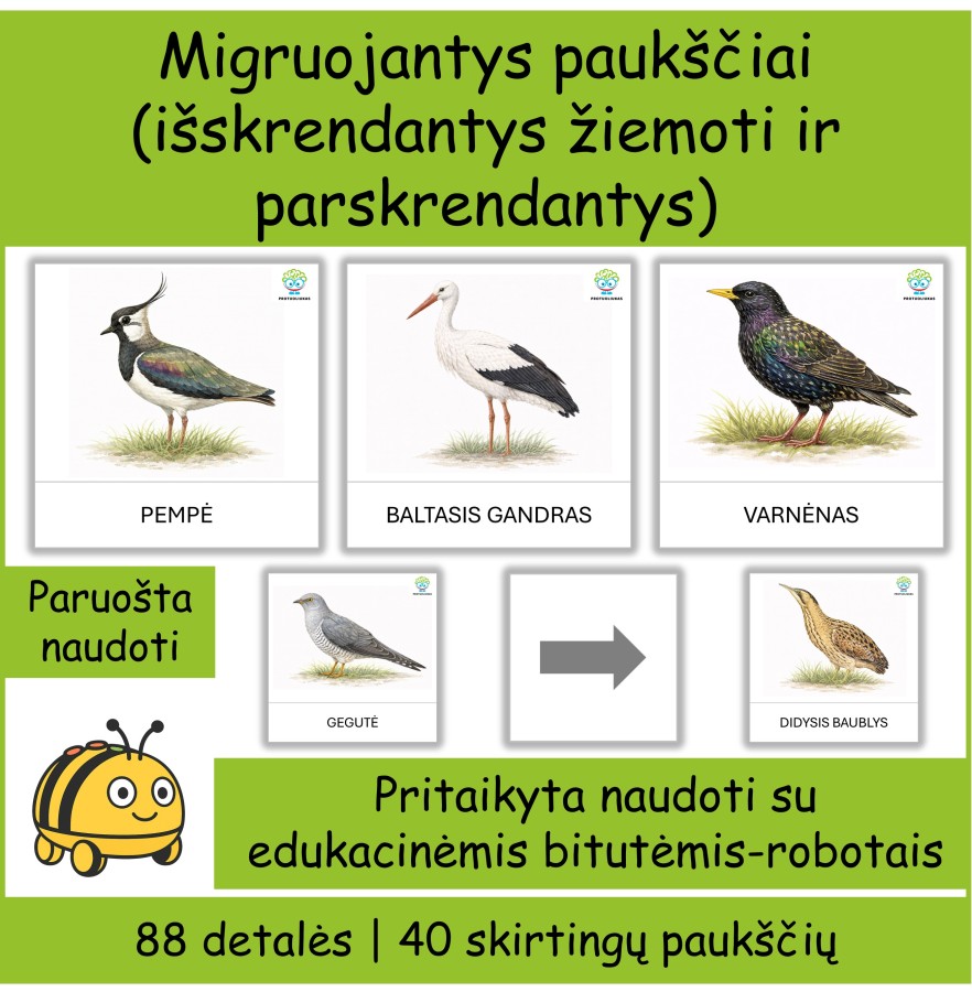 Migruojantys paukščiai | Tinka Bee-bot robotukams (Nr. P154)