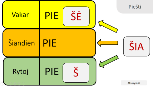 Mokymo priemonė (šablonas) (Nr. 10)