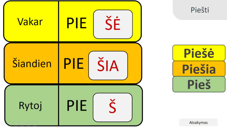 Mokymo priemonė (šablonas) (Nr. 10)