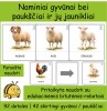 Naminiai gyvūnai ir jų jaunikliai | Tinka Bee-bot (Nr. P153) Naminiai gyvūnai ir jų jaunikliai | Tinka Bee-bot (Nr. P153)