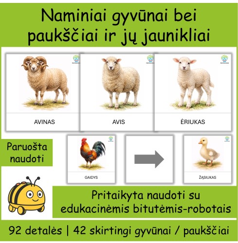 Naminiai gyvūnai ir jų jaunikliai | Tinka Bee-bot (Nr. P153)
