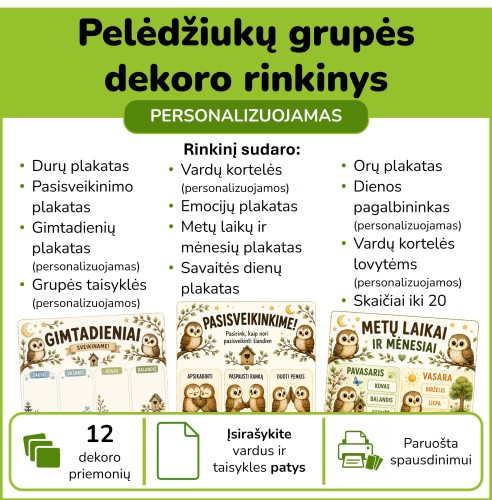 Pelėdžiukų grupės dekoro rinkinys (Nr. P193)