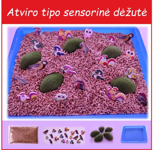 Sensorinė dėžutė su kviečiais ir paukščiais