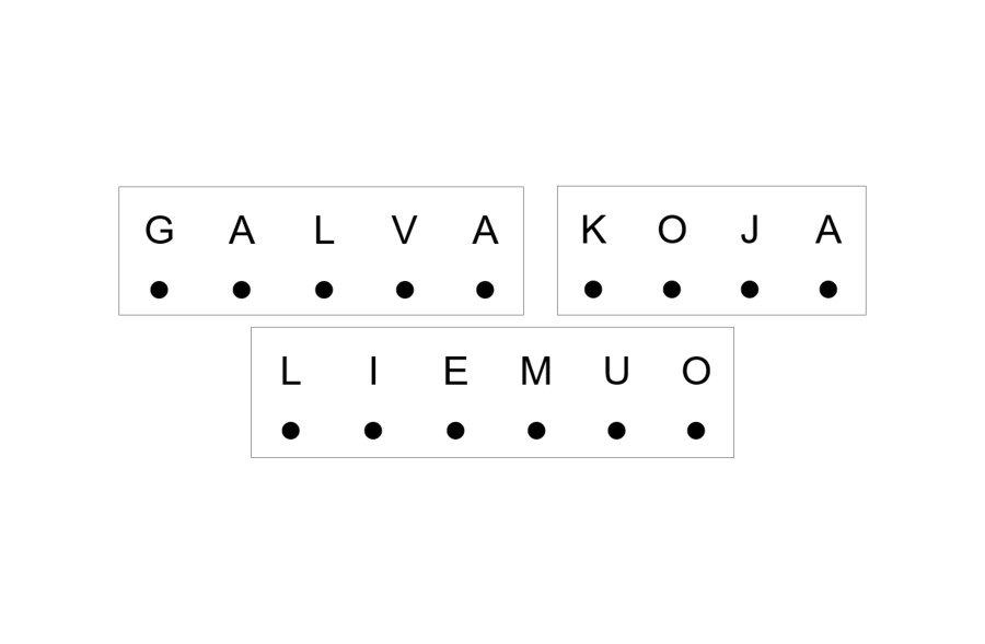 Skaitymo kortelės. Kūno dalys (Nr. P88)
