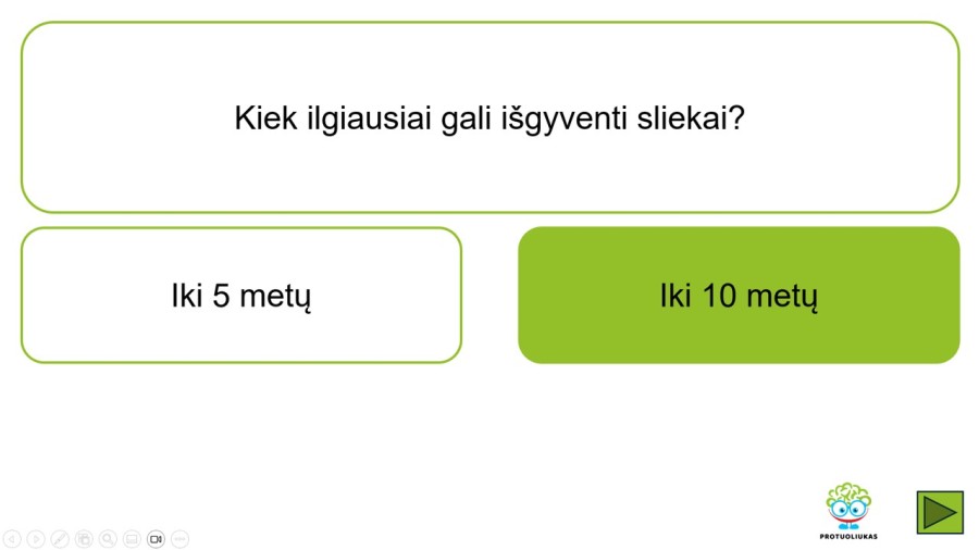 Sliekai - sandara ir testas apie juos (Nr. 197)