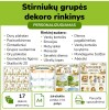 Stirniukų grupės dekoro rinkinys  (Nr. P226)
