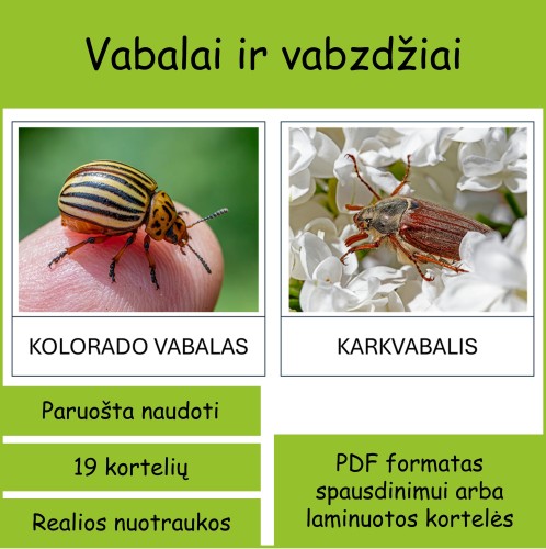 Vabalai ir vabzdžiai (Nr. P161)