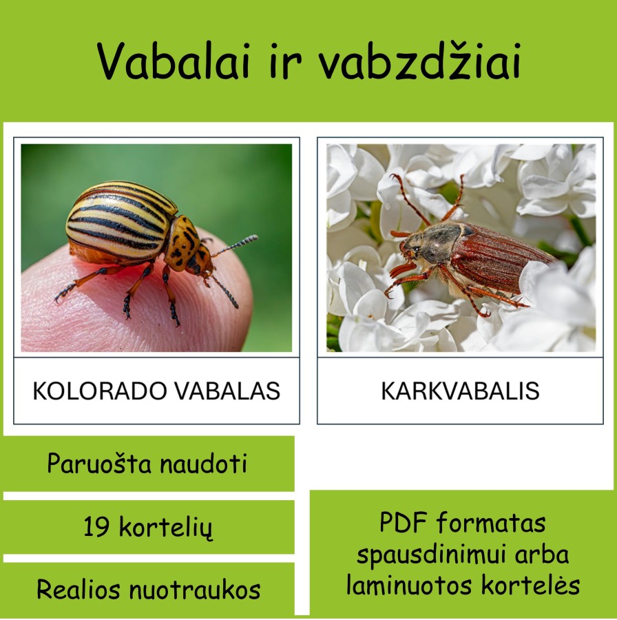Vabalai ir vabzdžiai (Nr. P161)